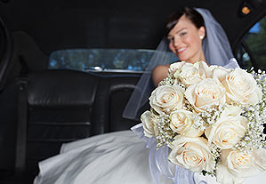 Westchester Transportation Service Westchester Transportation Service