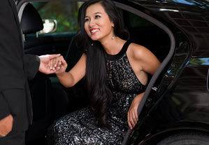 Professional Chauffeurs Professional Chauffeurs